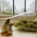 Broccoli sprouting…