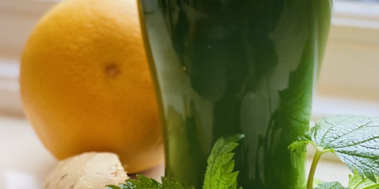 NETTLE JUICE for breakfast today…